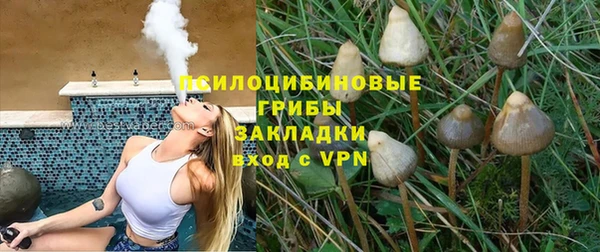 ALPHA PVP Горнозаводск